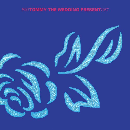 Wedding Present "Tommy"