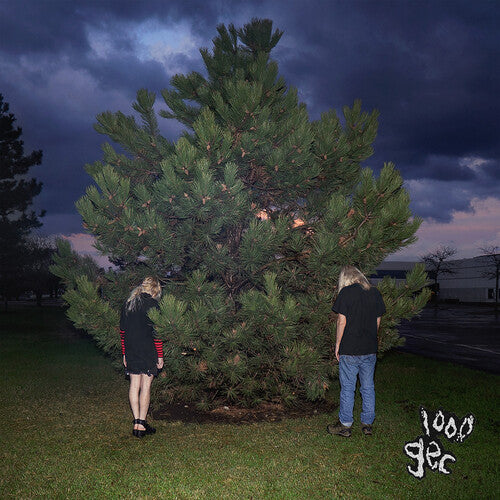 100 gecs "1000 gecs"