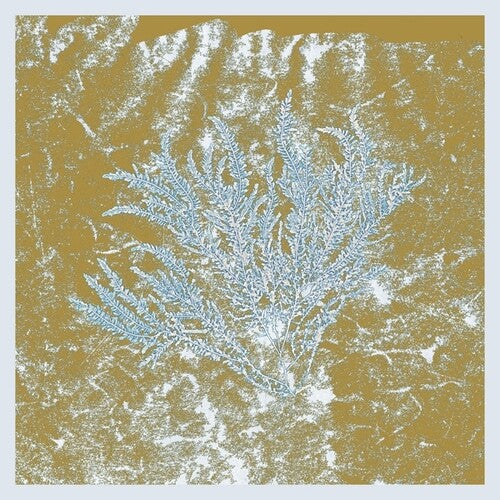 Huerco S. "For Those Of You Who Have Never (And Also Those Who Have)" 2LP
