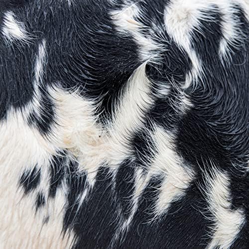 Blawan "Dismantled Into Juice" (Rush Hour Exclusive)