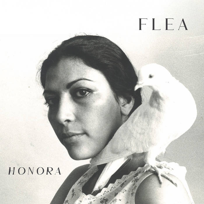 Flea "Honora"