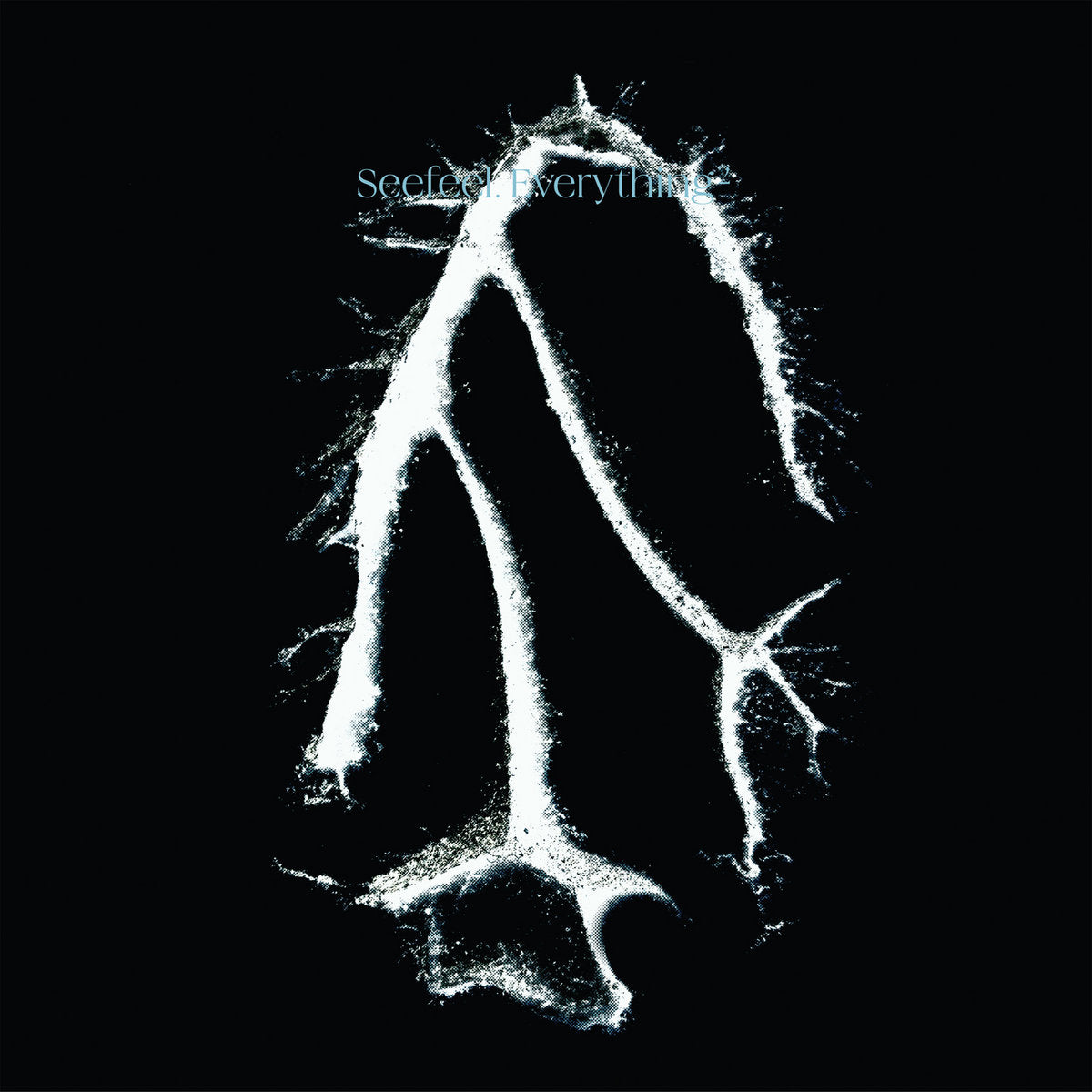 Seefeel "Everything Squared"