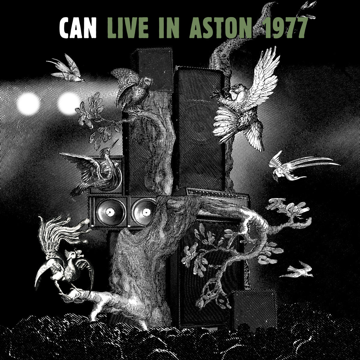 Can "Live in Aston 1977"
