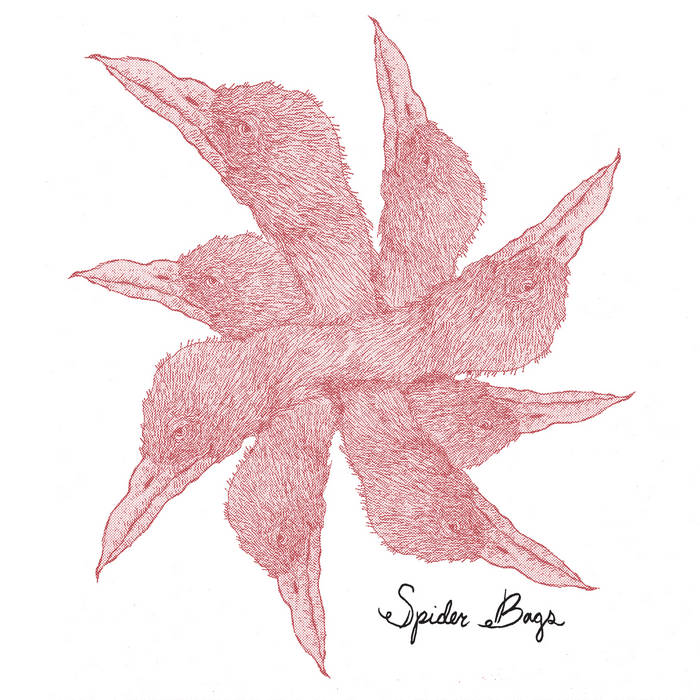 Spider Bags "A Celebration of Hunger"