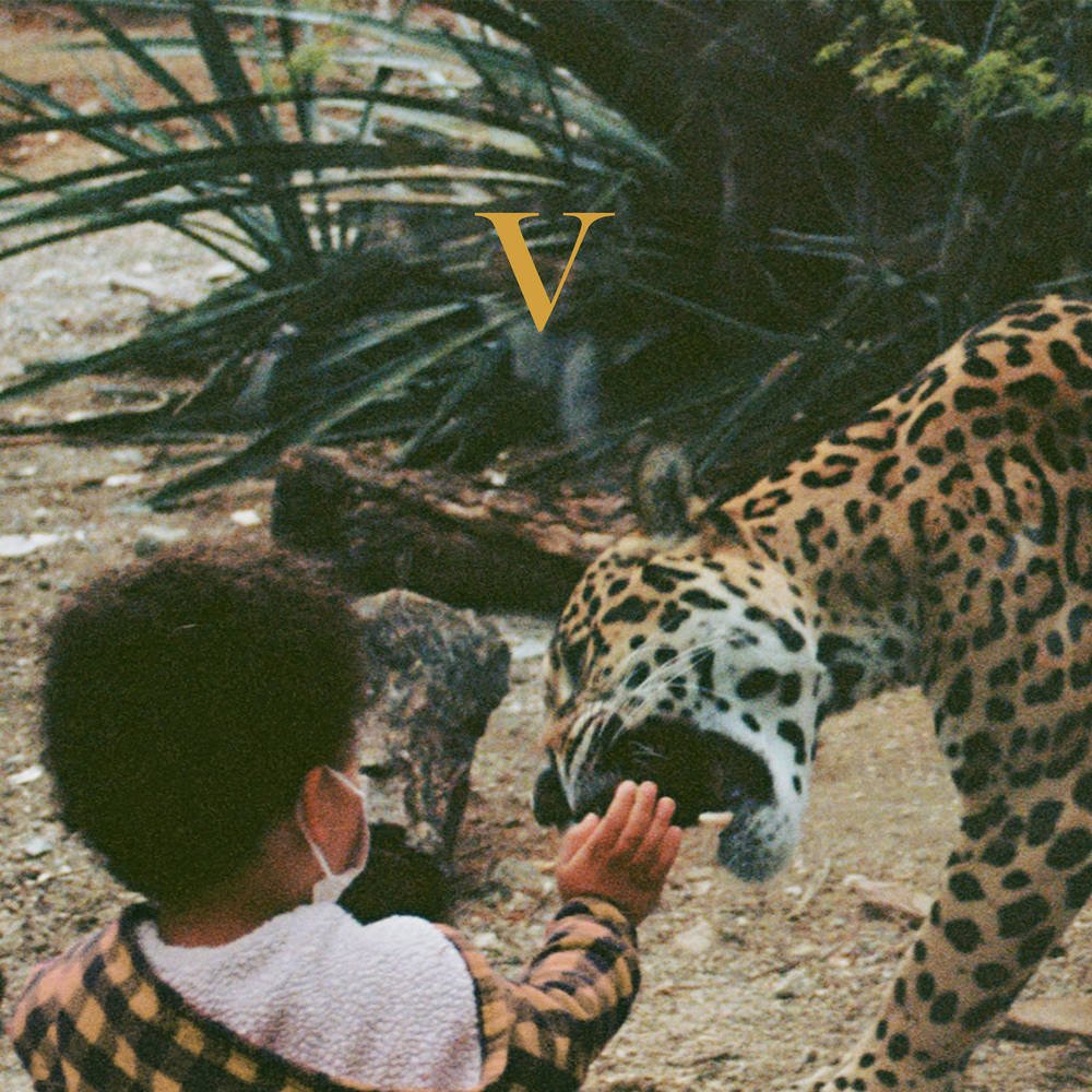 Unknown Mortal Orchestra "V" 2LP
