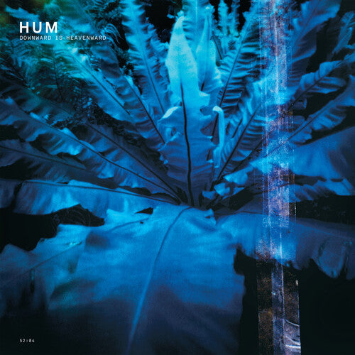Hum "Downward Is Heavenward" 2LP