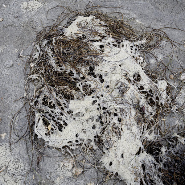 CS + Kreme "Orange" 2LP