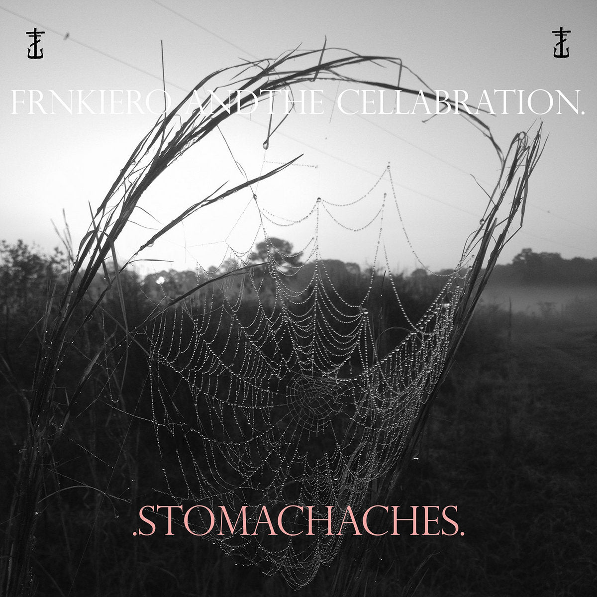 frnkiero andthe cellabration. ".Stomachaches."
