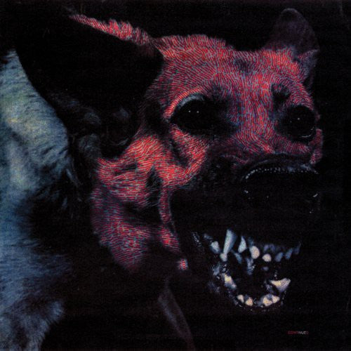 Protomartyr "Under Color Of Official Right "