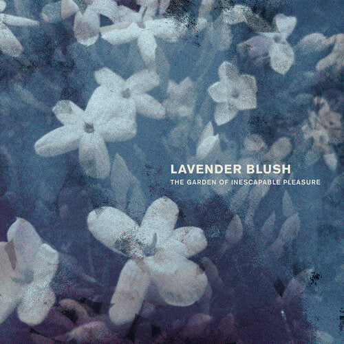 Lavender Blush "The Garden Of Inescapable Pleasure"