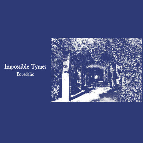 Impossible Tymes "Popadelic"