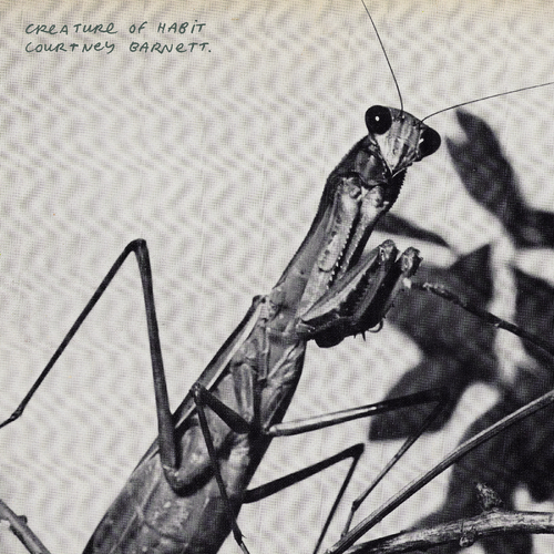 Barnett, Courtney "Creature of Habit" [Caramel Vinyl]