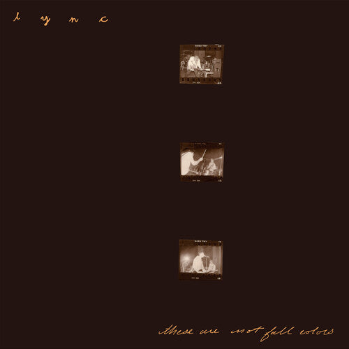 Lync "These Are Not Fall Colors" 2LP [Color - In Color Vinyl]
