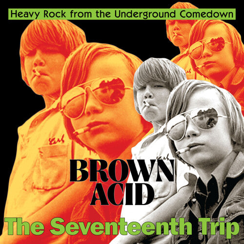 V/A "Brown Acid - The Seventeenth Trip"
