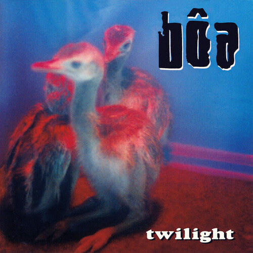 bôa "Twilight" BOA