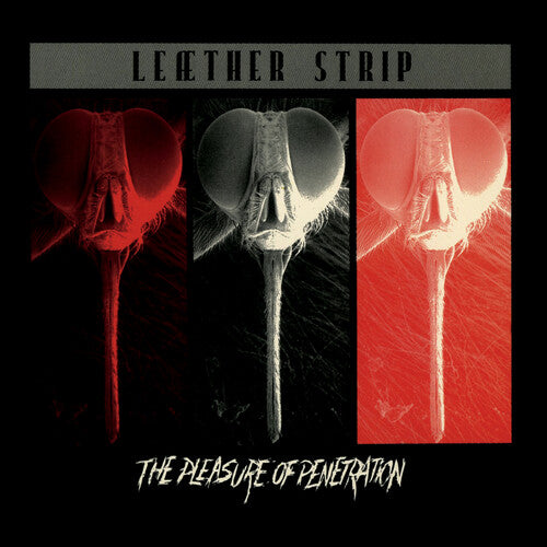 Leather Strip "The Pleasure of Penetration" [Silver Vinyl]