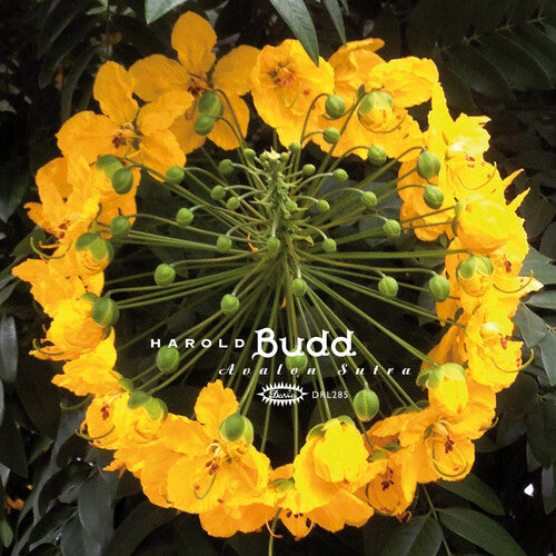 Budd, Harold "Avalon Sutra" [Green & Gold Vinyl] 2LP + CD