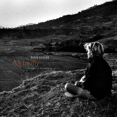 Sylvian, David "Alchemy: An Index Of Possibilities" [Corona Gold / Red Vinyl]