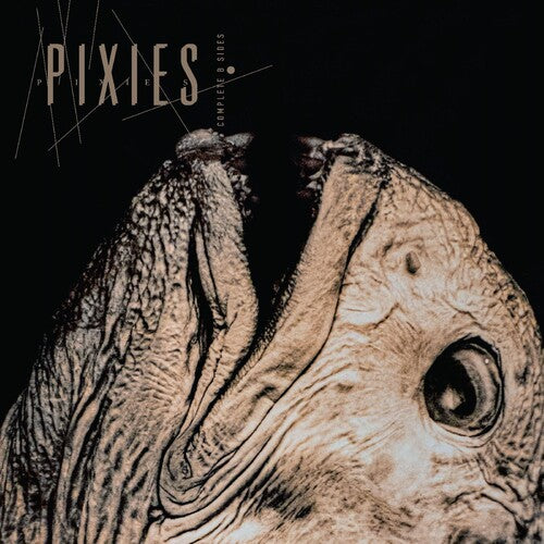 Pixies "Complete B Sides: 1988-97" 2LP [Clear Vinyl]