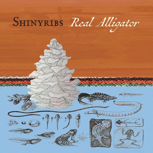Shinyribs "Real Alligator"