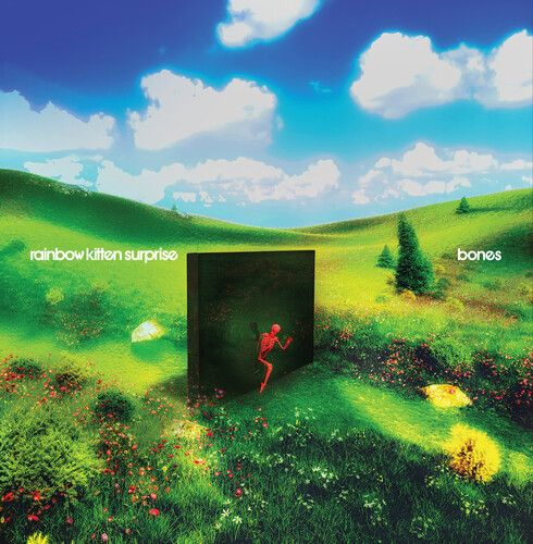Rainbow Kitten Surprise "bones" ["Banana" Vinyl]