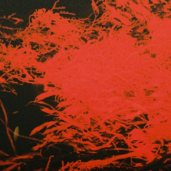 Naples, Anthony "In Studio Magic"