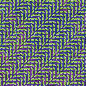 Animal Collective 15th Anniversary "Merriweather Post Pavilion" [Bluish & Translucent Green] 2LP