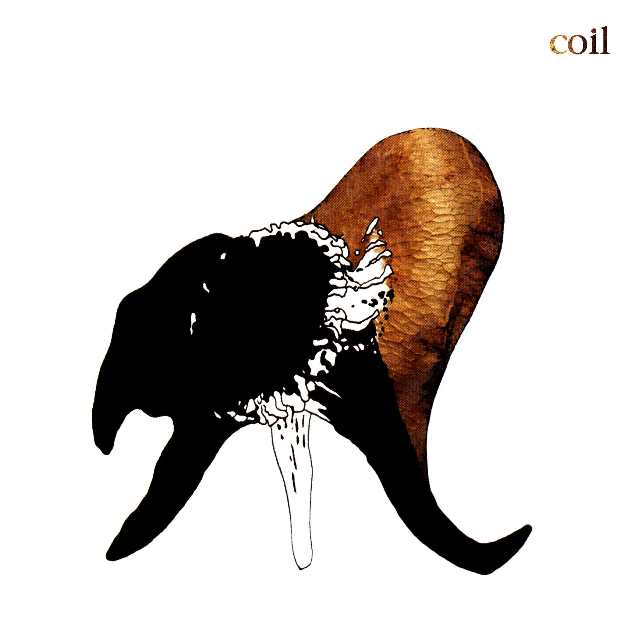 Coil "Black Antlers" [Clear Vinyl] 2LP
