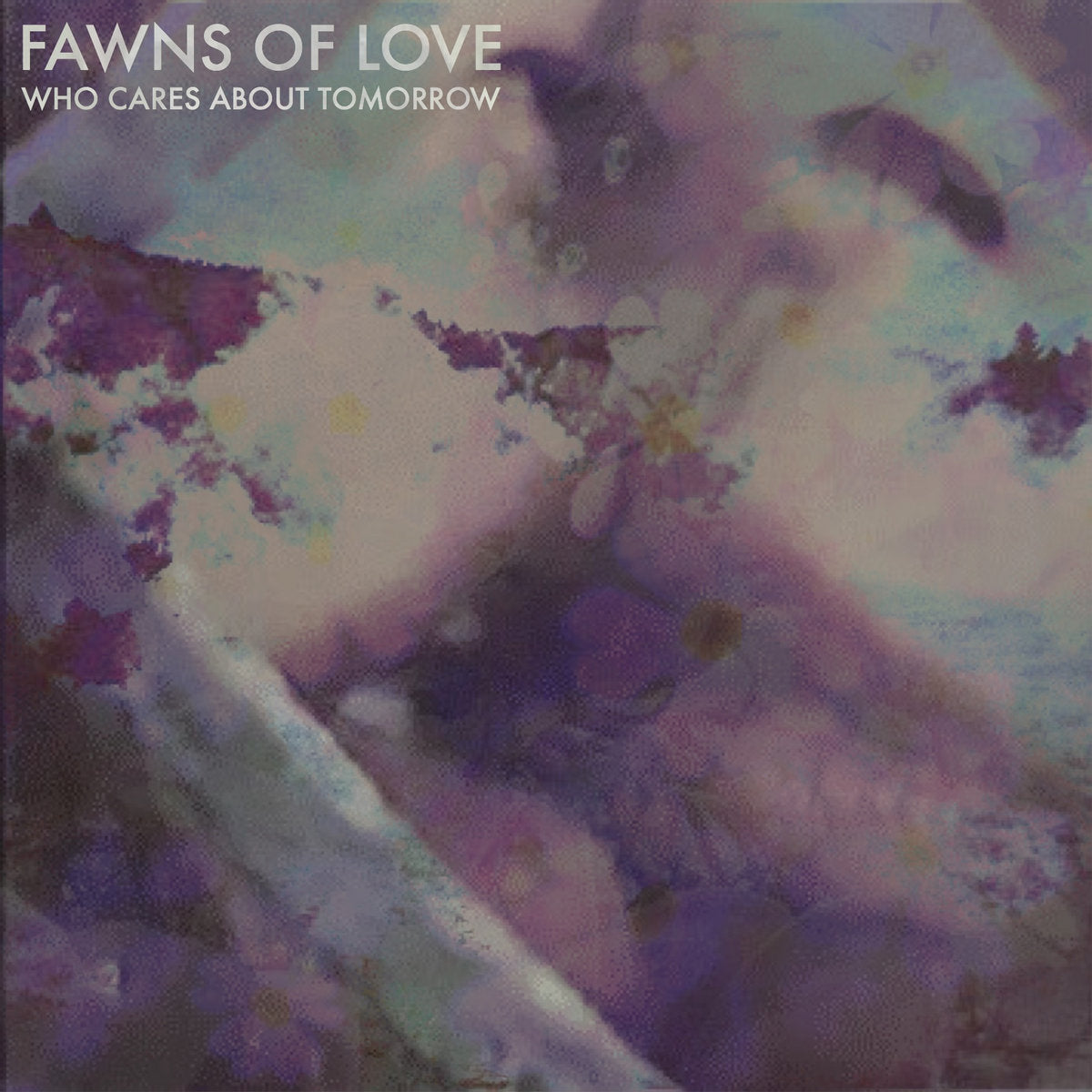 Fawns of Love "Who Cares About Tomorrow"