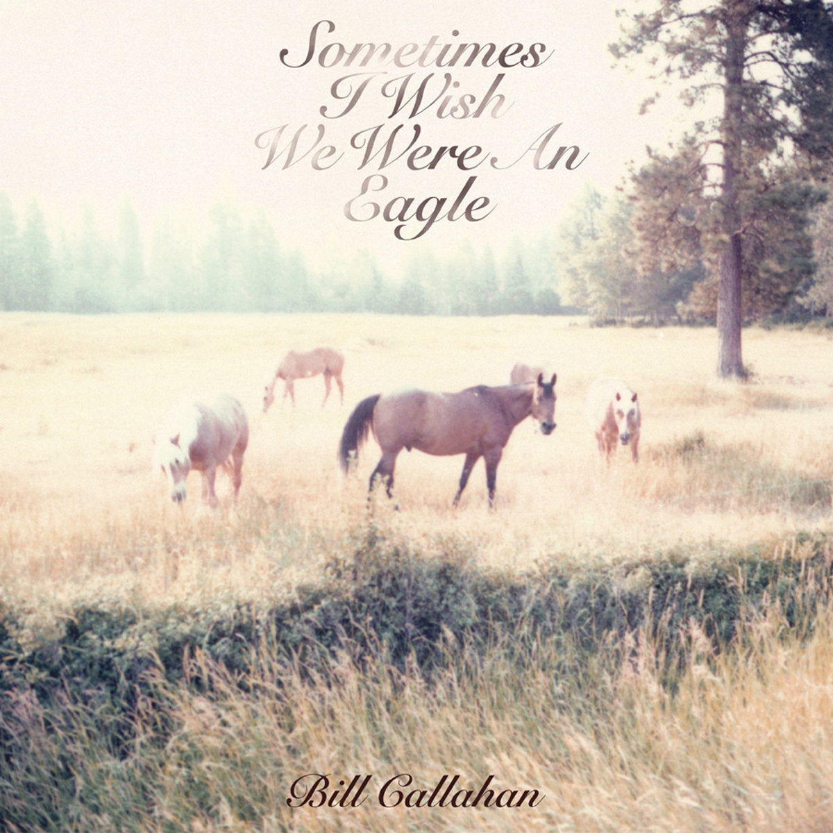 Callahan, Bill "Sometimes I Wish We Were An Eagle"
