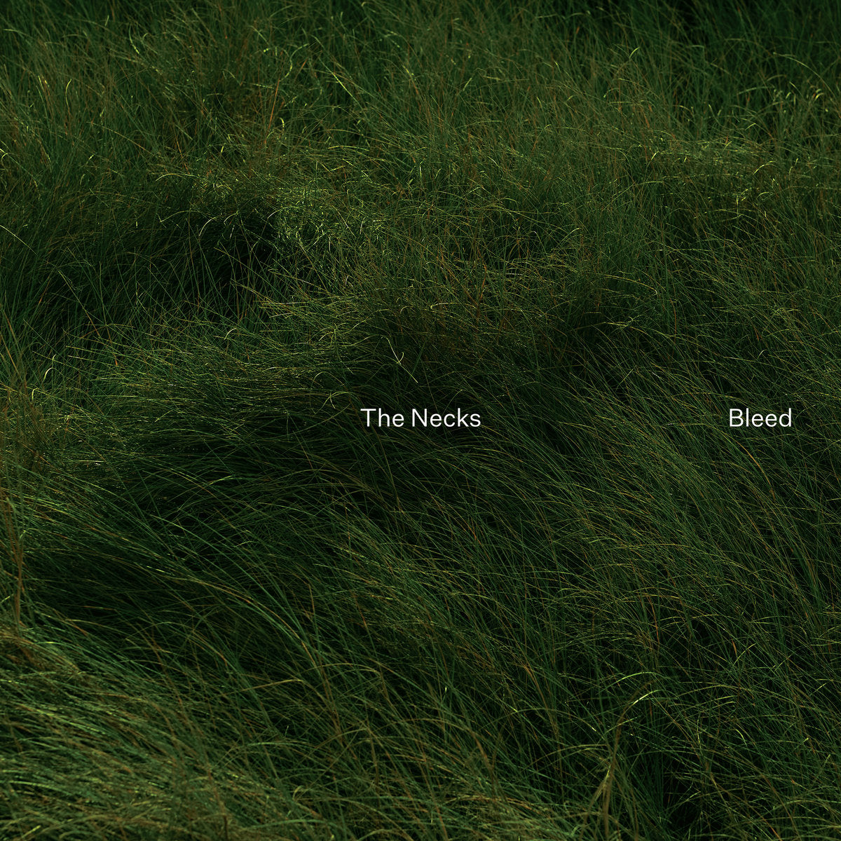 Necks, The "Bleed" [Green Vinyl]