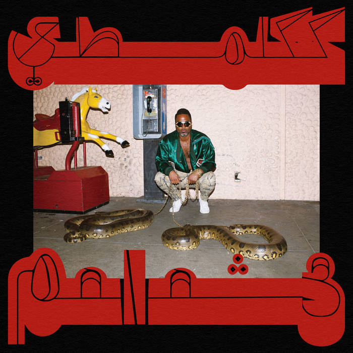 Shabazz Palaces "Robed in Rareness"