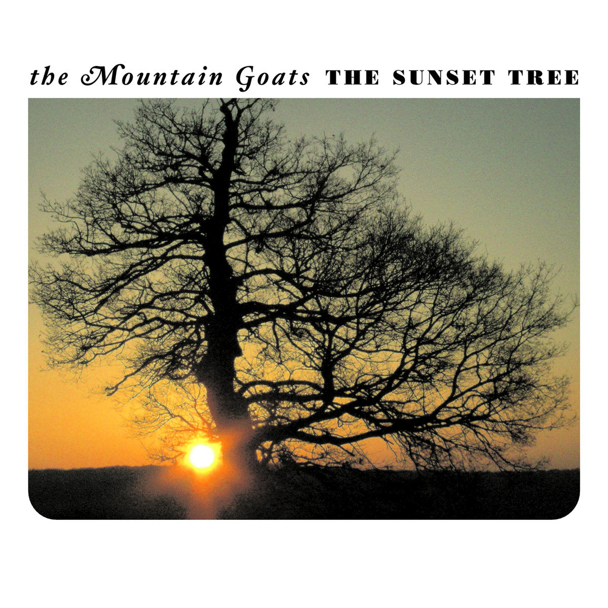 Mountain Goats "The Sunset Tree" [20th Anniversary, Apricot Vinyl]