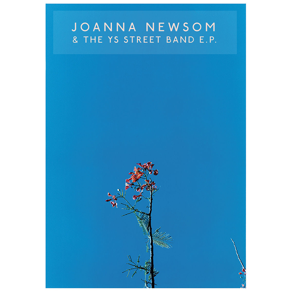 Newsom, Joanna and the Ys Street Band "s/t"