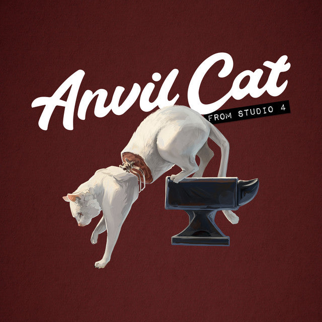 Anvil Cat (AKA Lovejoy) "From Studio 4"