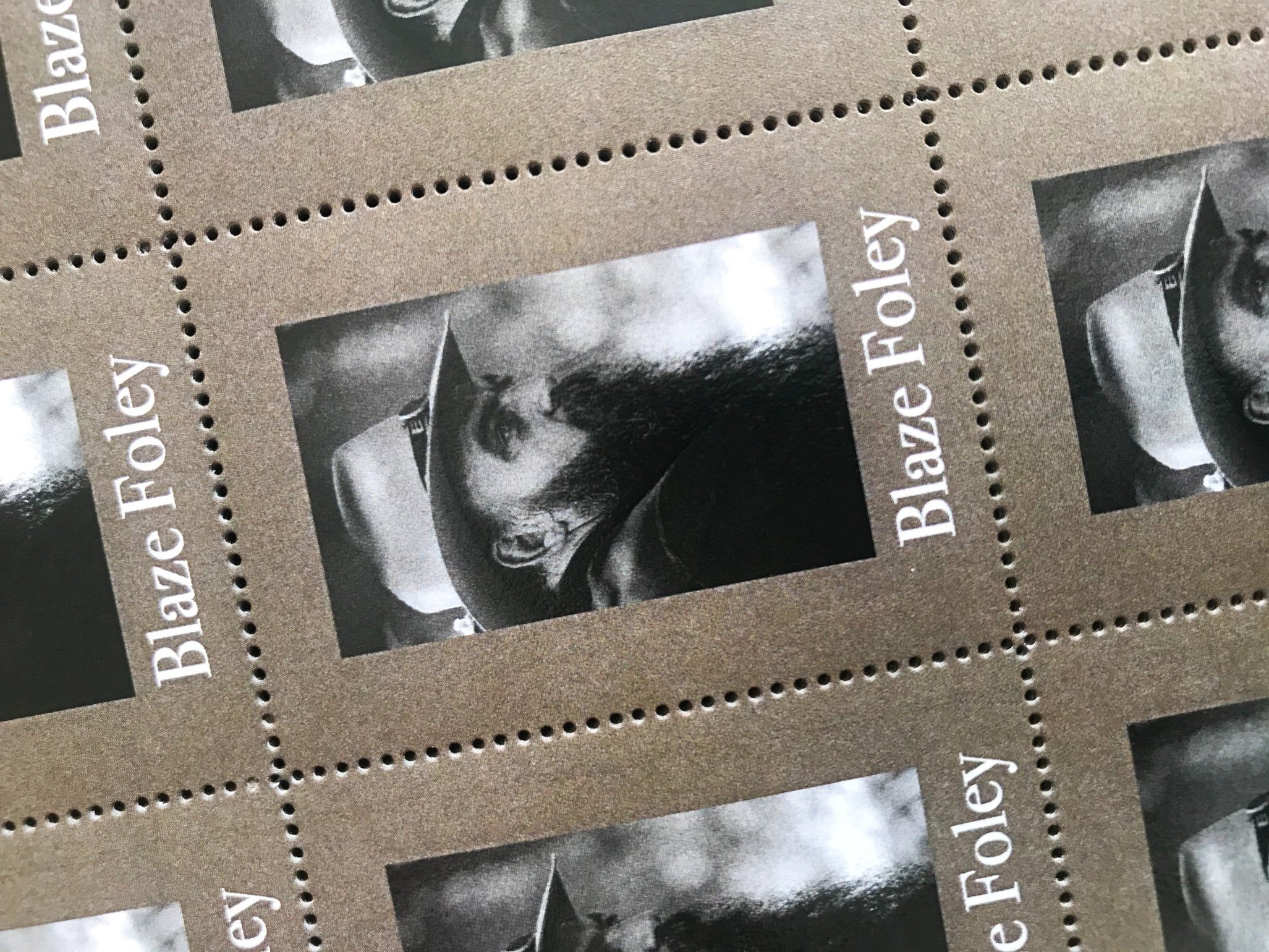 Blaze Foley Stamp Sheet