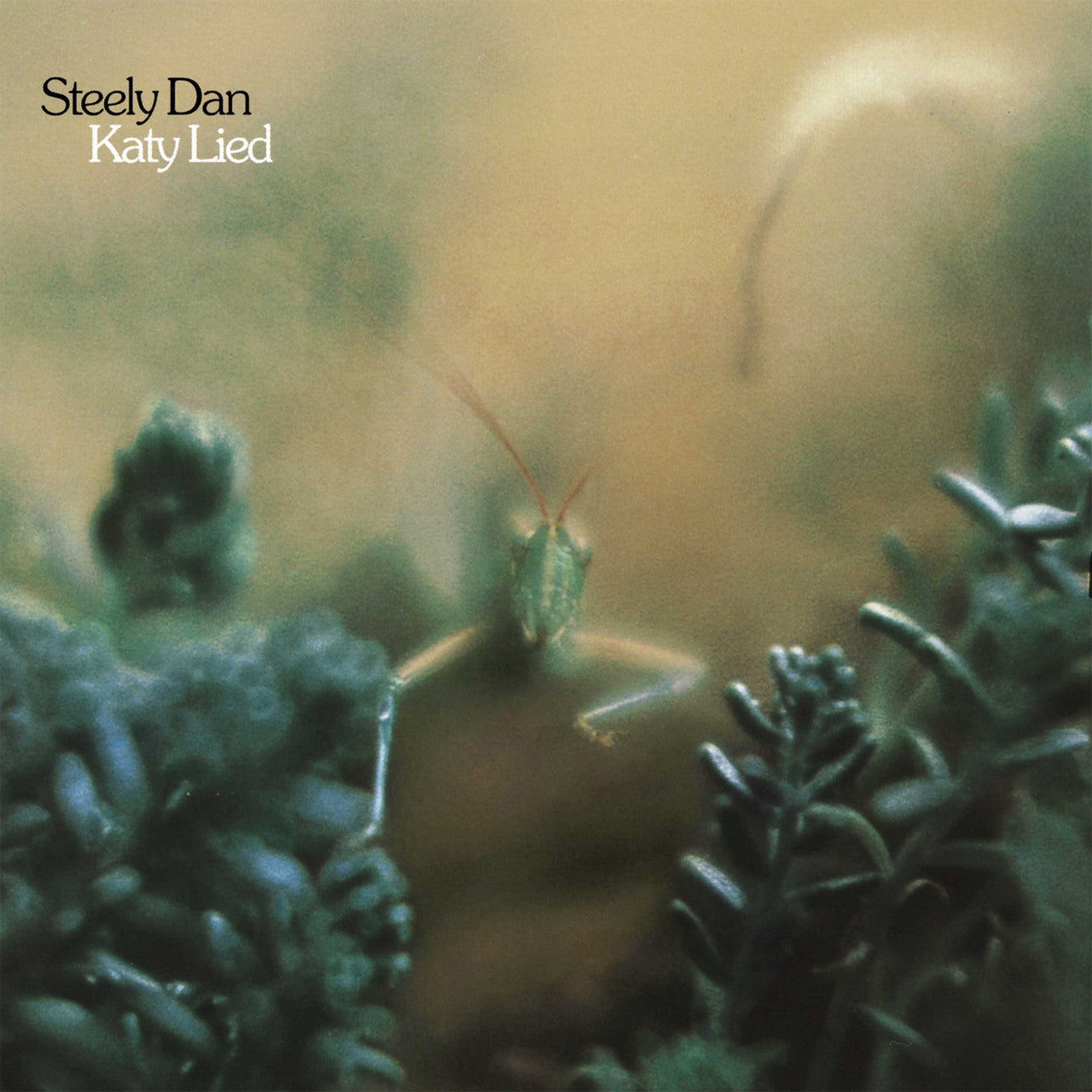 Steely Dan "Katy Lied"