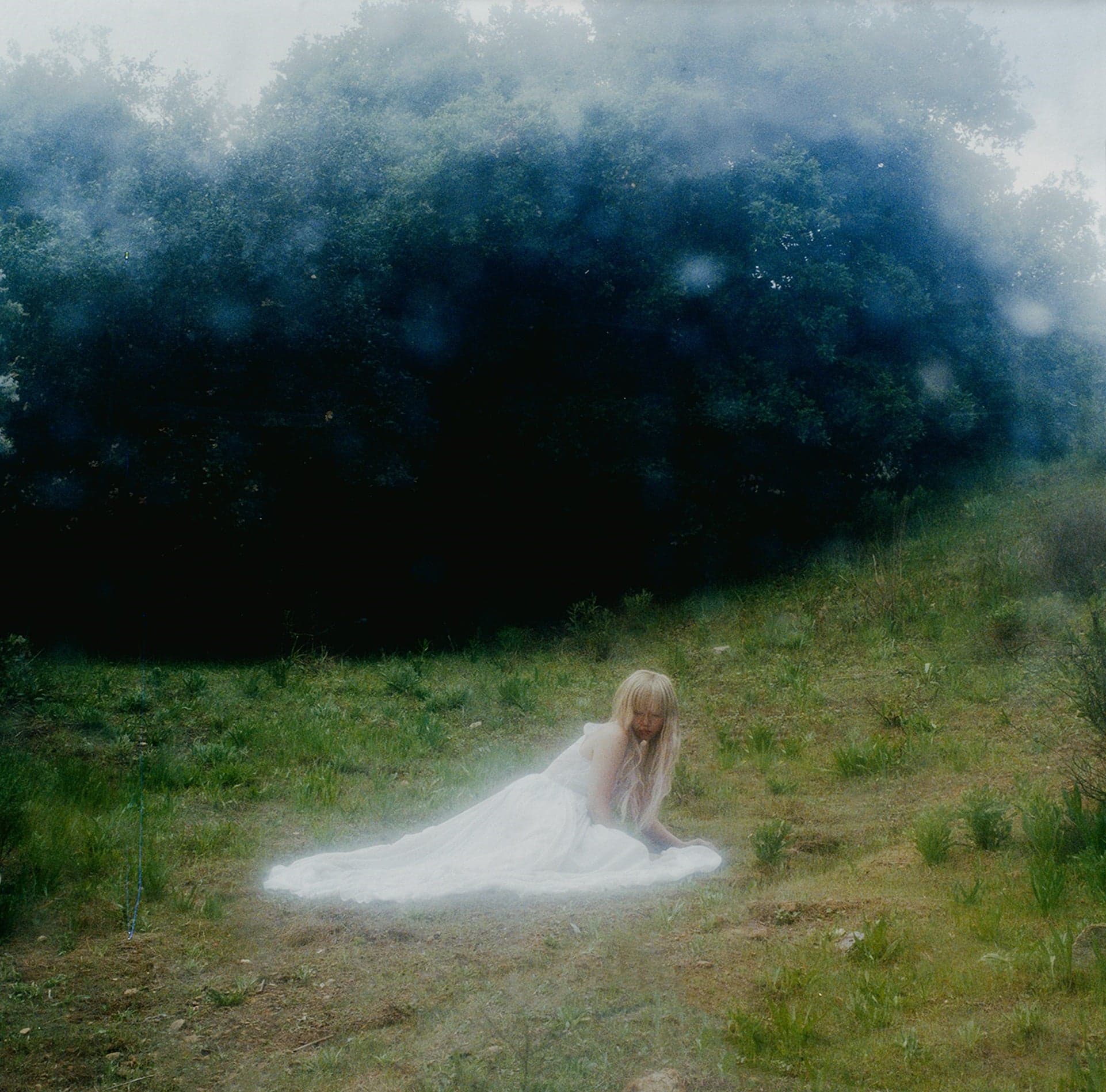 Wisp "If Not Winter"