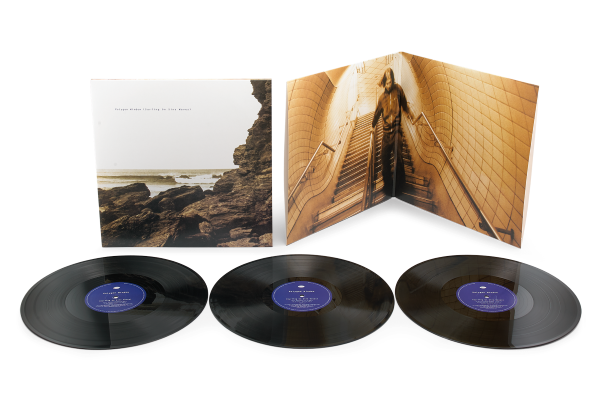 PRE-ORDER Polygon Window "Surfing On Sine Waves" 3LP [Expanded Edition]