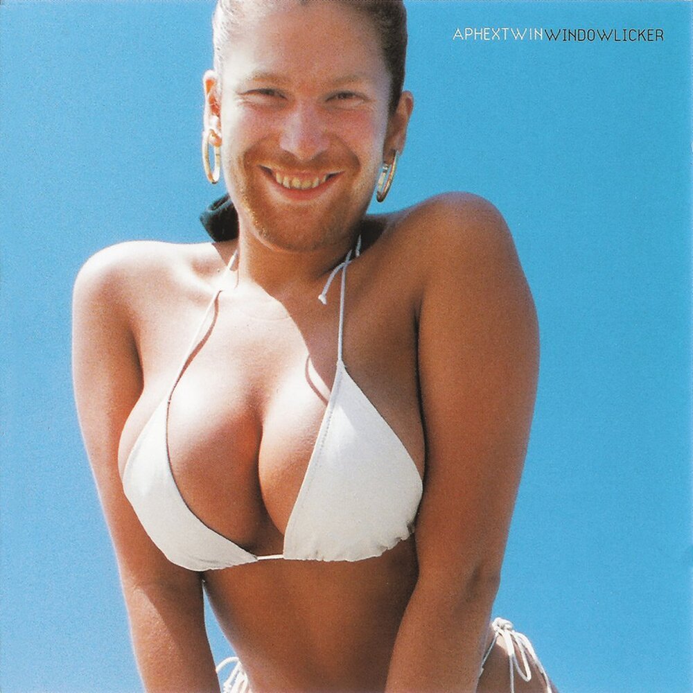 Aphex Twin "Windowlicker"