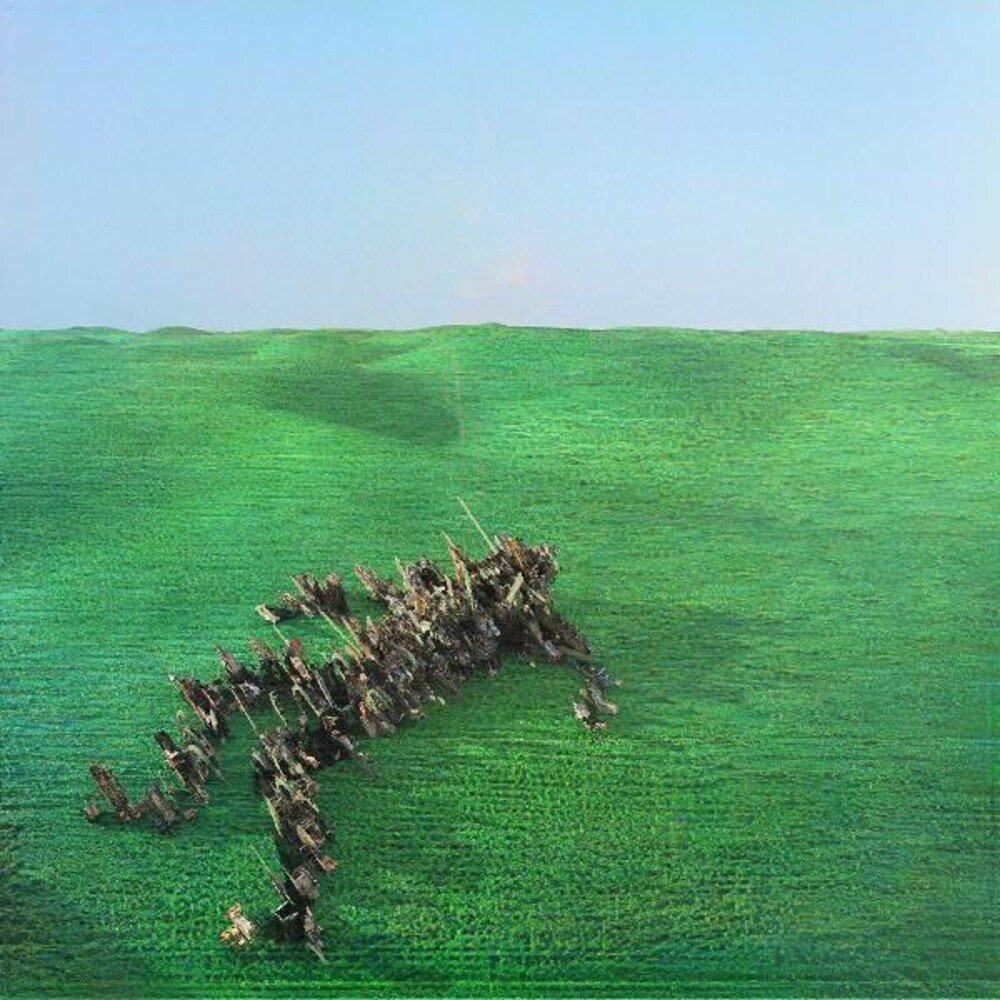 Squid "Bright Green Field "[Indie Exclusive Apricot Vinyl]