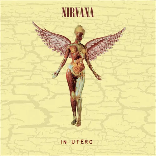 Nirvana "In Utero"  [30th Anniversary] LP & 10"