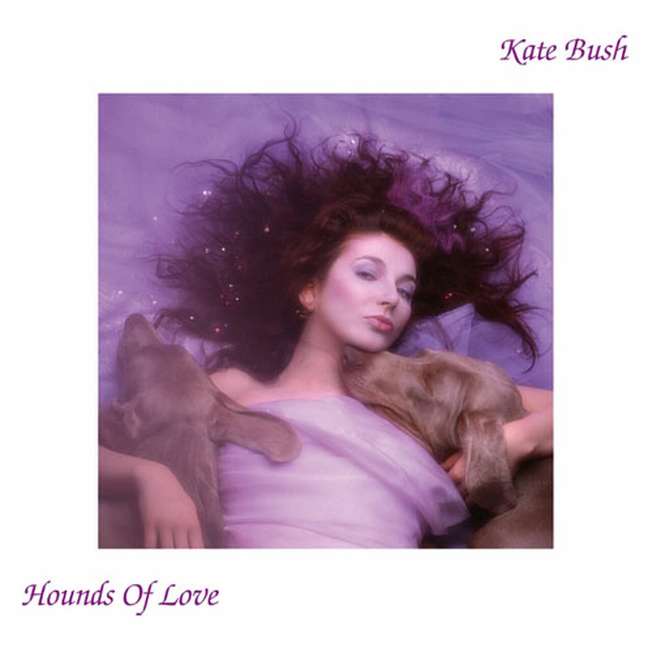 Bush, Kate "Hounds Of Love"