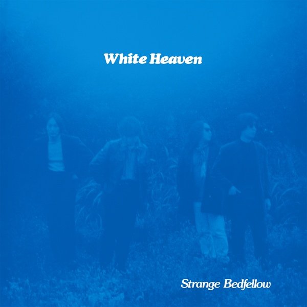 White Heaven "Strange Bedfellow"