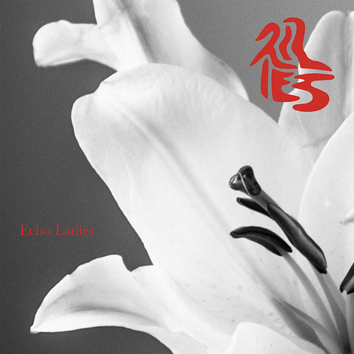 Echo Ladies "Lilies" [Silver Vinyl]