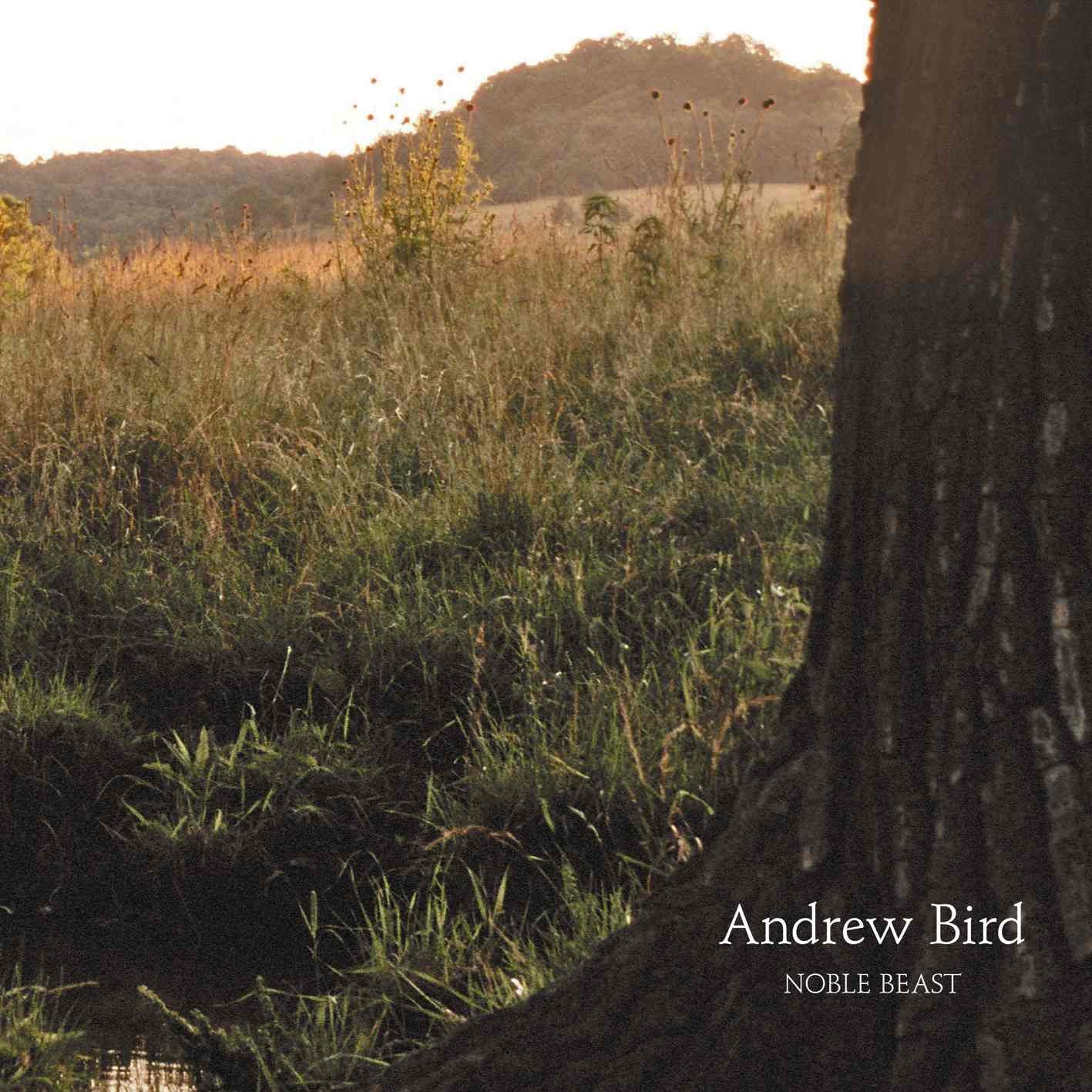 Bird, Andrew "Noble Beast"